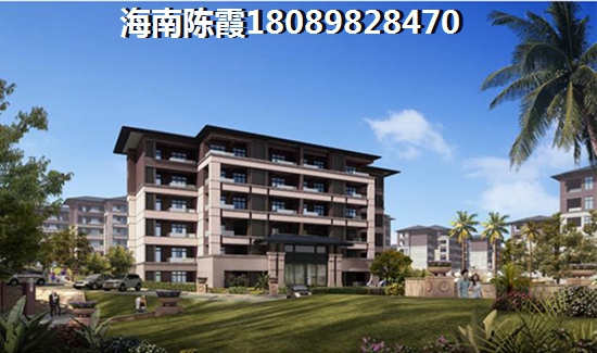 《惊！河北人海南购房竟赚得盆满钵满，琼海官塘房价飙升背后的秘密！》