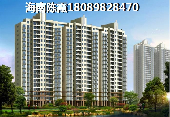 博海茗苑2025价纸如何